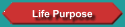 Life Purpose